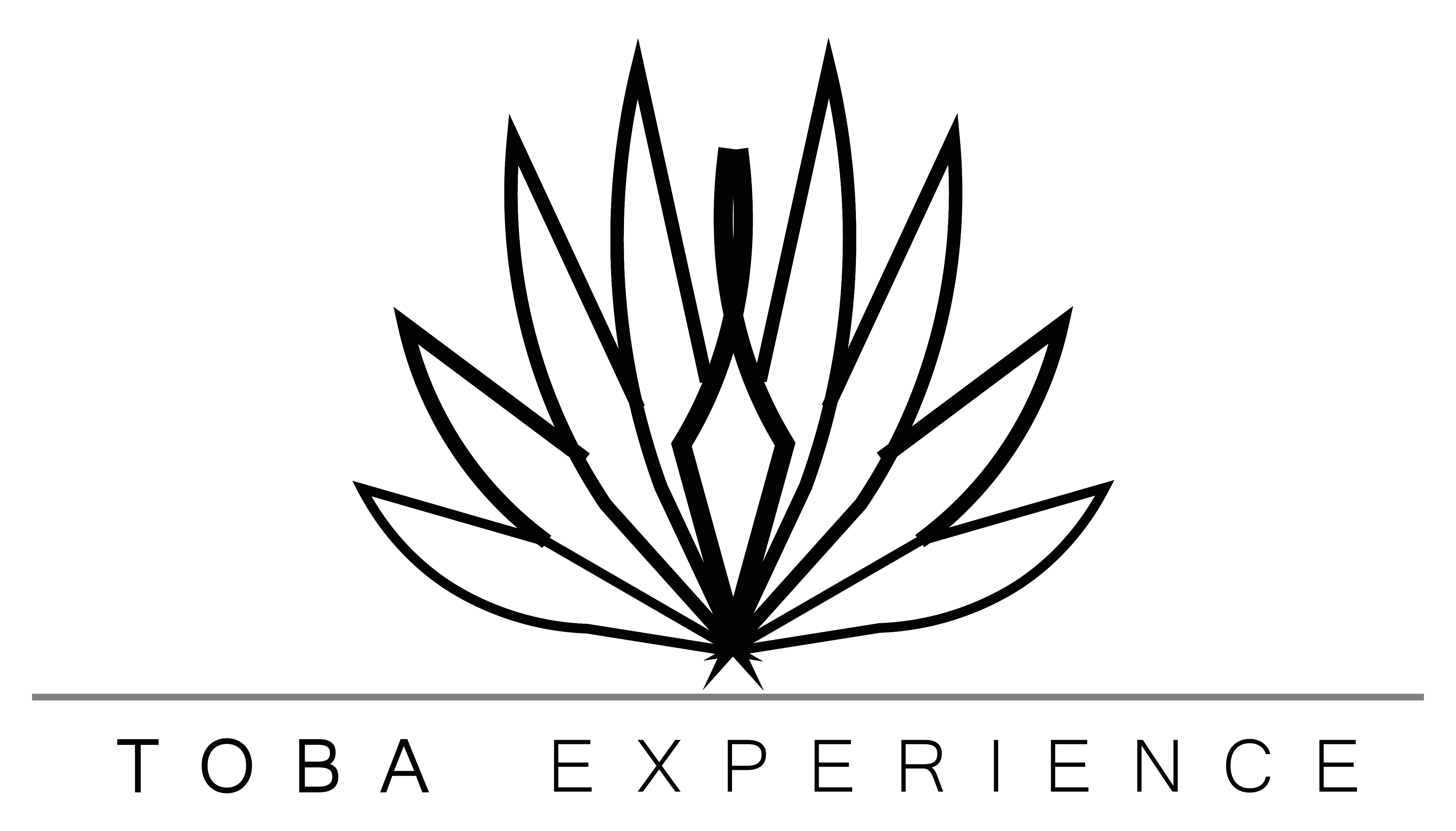 Toba Experience Negro